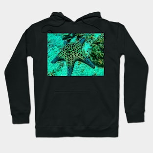 star fish Hoodie